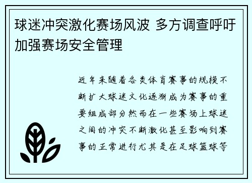 球迷冲突激化赛场风波 多方调查呼吁加强赛场安全管理