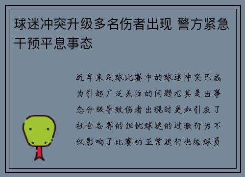 球迷冲突升级多名伤者出现 警方紧急干预平息事态