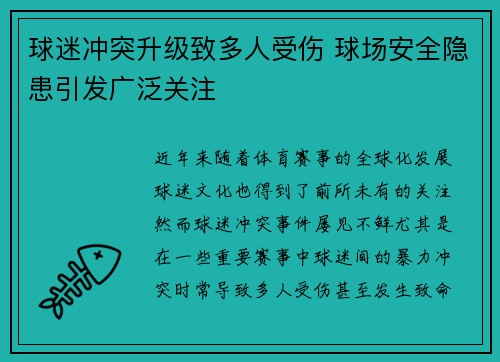 球迷冲突升级致多人受伤 球场安全隐患引发广泛关注