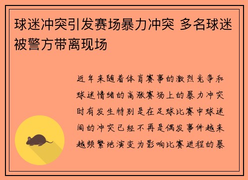 球迷冲突引发赛场暴力冲突 多名球迷被警方带离现场